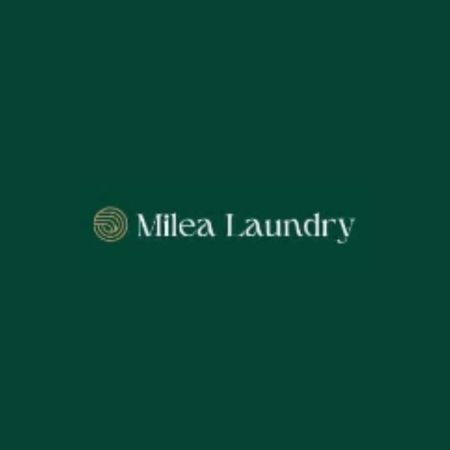 Lowongan Kerja Crew Laundry di Milea Laundry untuk Bulan Desember 2025